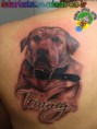 /album/tatuagens/cachorro-tommy-jpg/